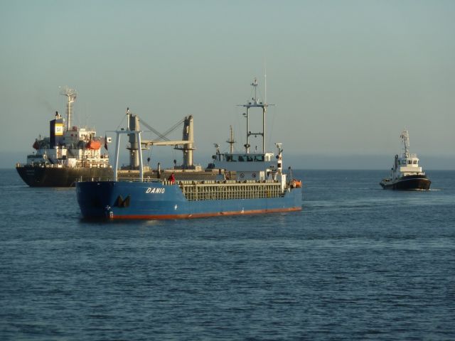 Danio - avant port - 26 juin 2012 (01).JPG